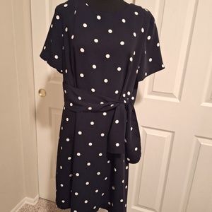 Ann Taylor Women's polka dot size 14 dress.